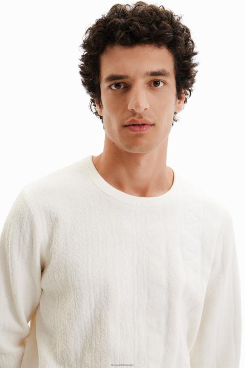 oblačila NFXLT1614 moški Desigual pulover z motivom žakarda